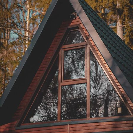 Lesny Dwor Villa Яновице Виелкие Екстериор снимка