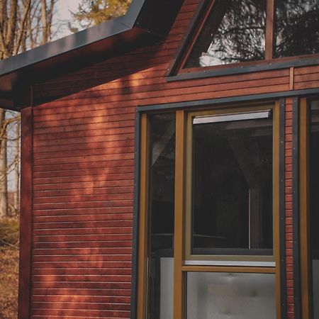 Lesny Dwor Villa Яновице Виелкие Екстериор снимка